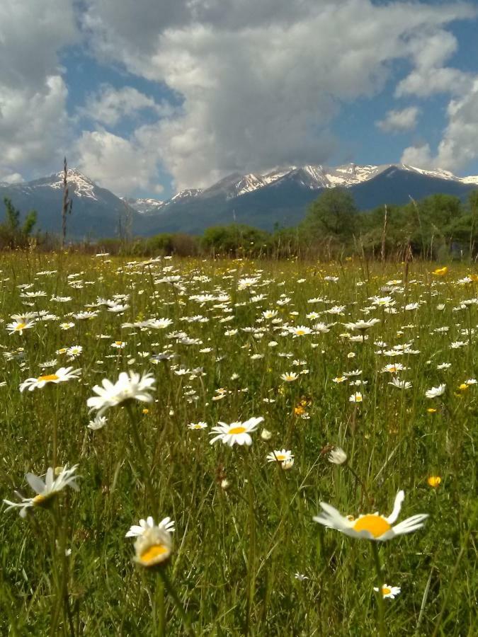 Belvedere Luxury Spa Apartments Bansko Esterno foto